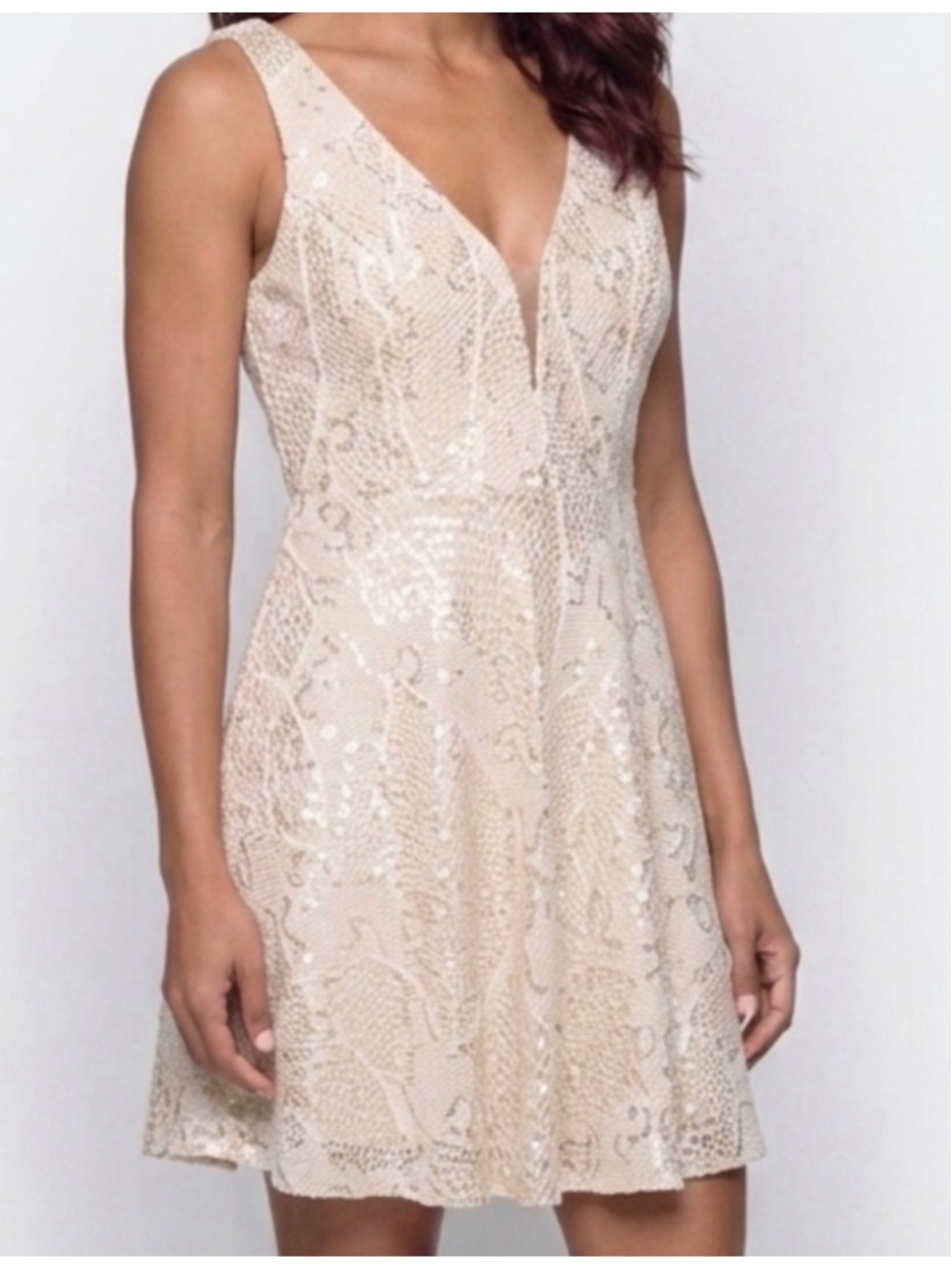 Bailey Blue Ivory Mesh on Champagne Sequin Cocktail Dress, Size L NWT